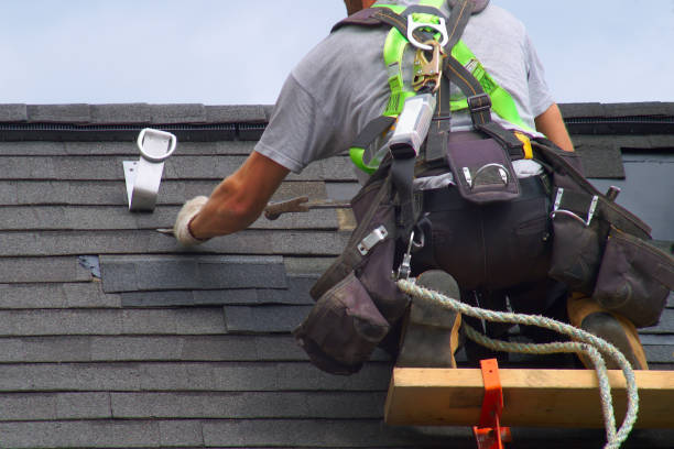 Best Custom Siding Design  in Flagtown, NJ
