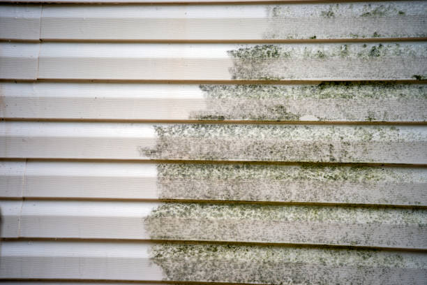 Best Insulated Siding Installation  in Flagtown, NJ